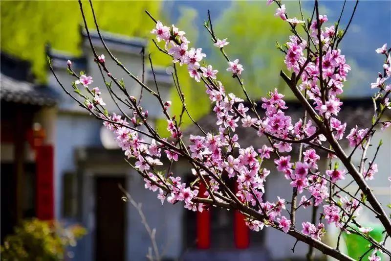 申博官网-相信品牌力量