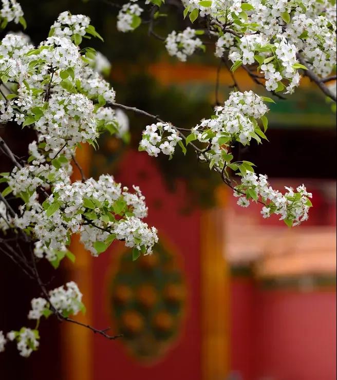 申博官网-相信品牌力量