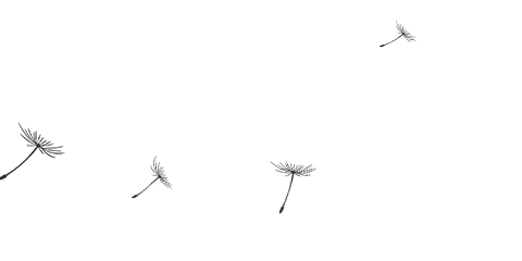 申博官网-相信品牌力量
