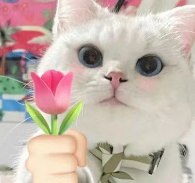 申博官网-相信品牌力量